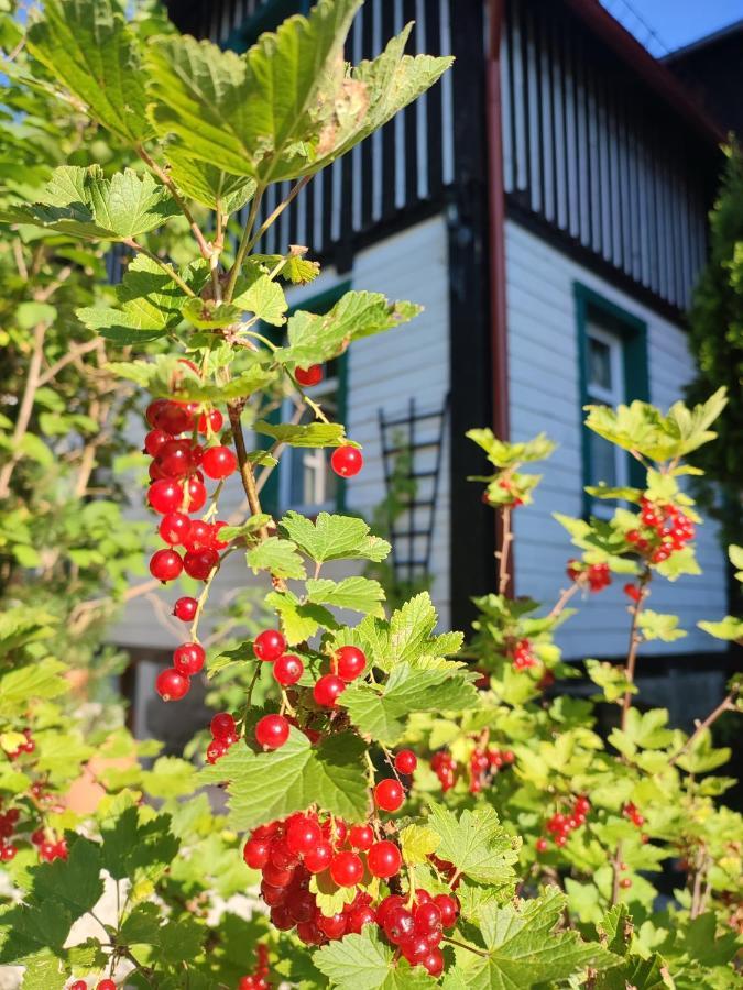 Homestay Wiking Szklarska Poreba