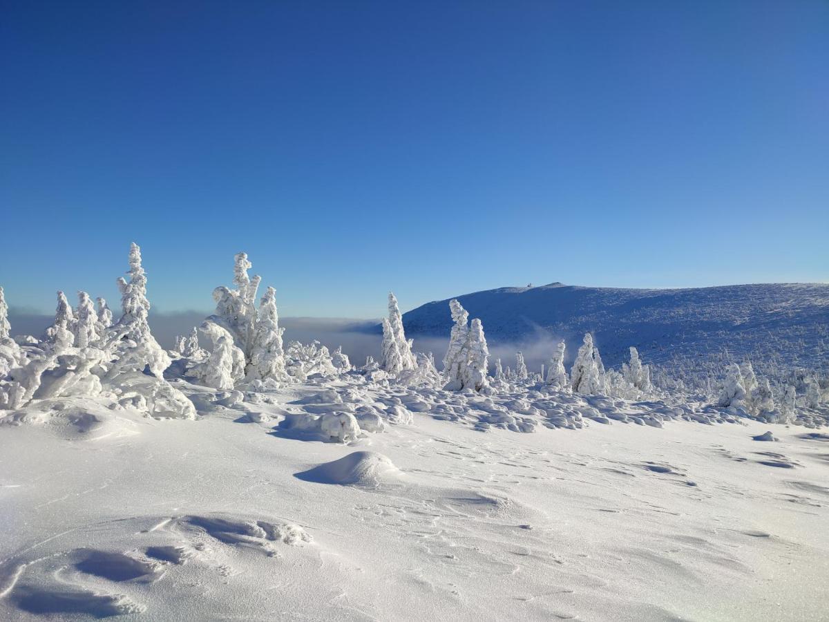 Homestay Wiking Szklarska Poreba